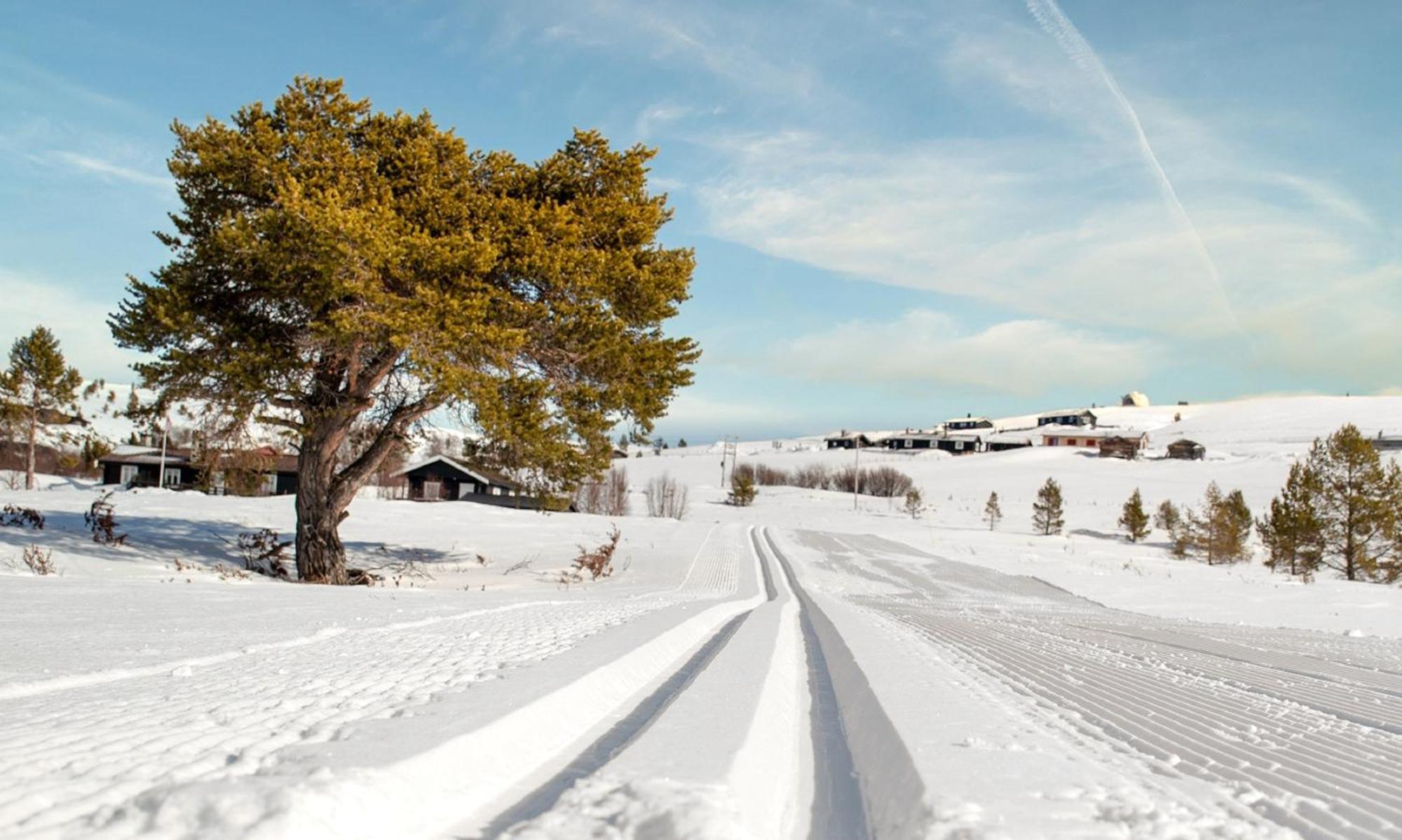 Rondane Haukliseter Fjellhotell 3*